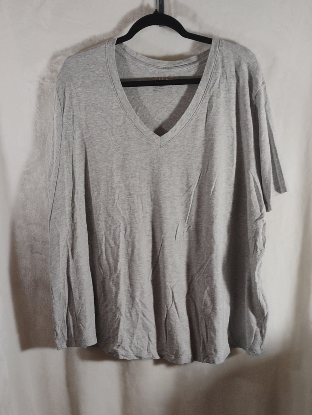 Terra & Sky Light Gray V-Neck Long Sleeve Tee